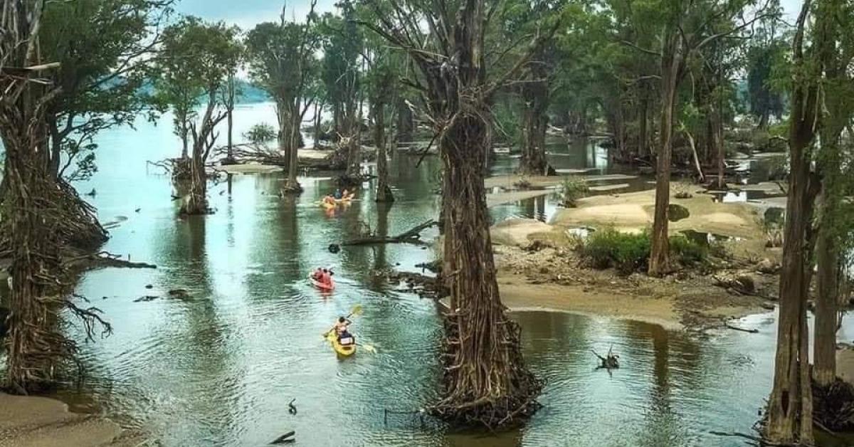 Provincia di Stung Treng